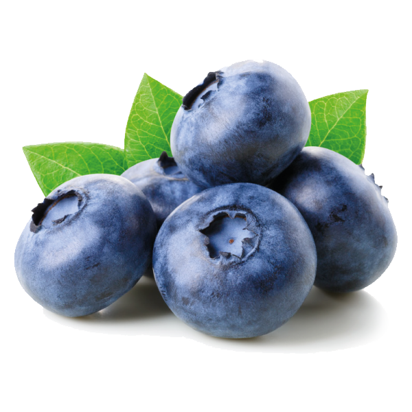 Heidelbeeren