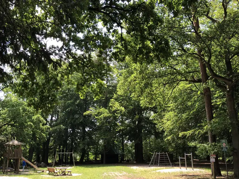Wald-Spielplatz in der Ahe