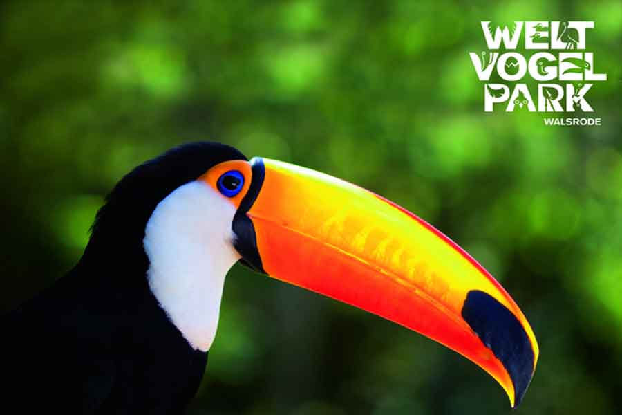 Vogelpark Walsrode